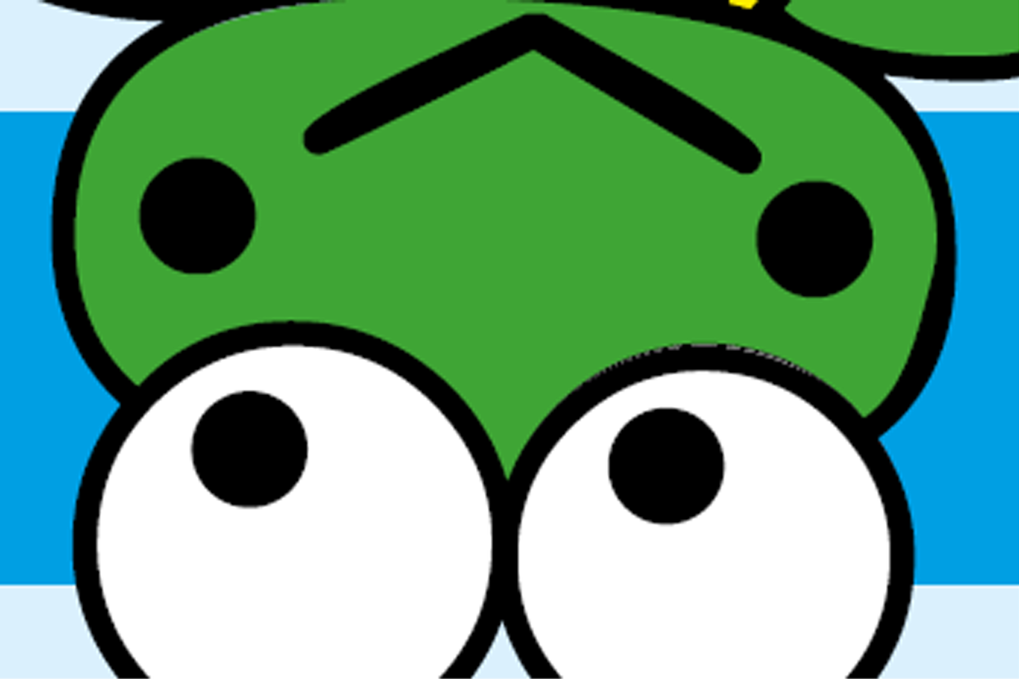 Das Bild zeigt den stilisierten Kopf eines Frosches. 