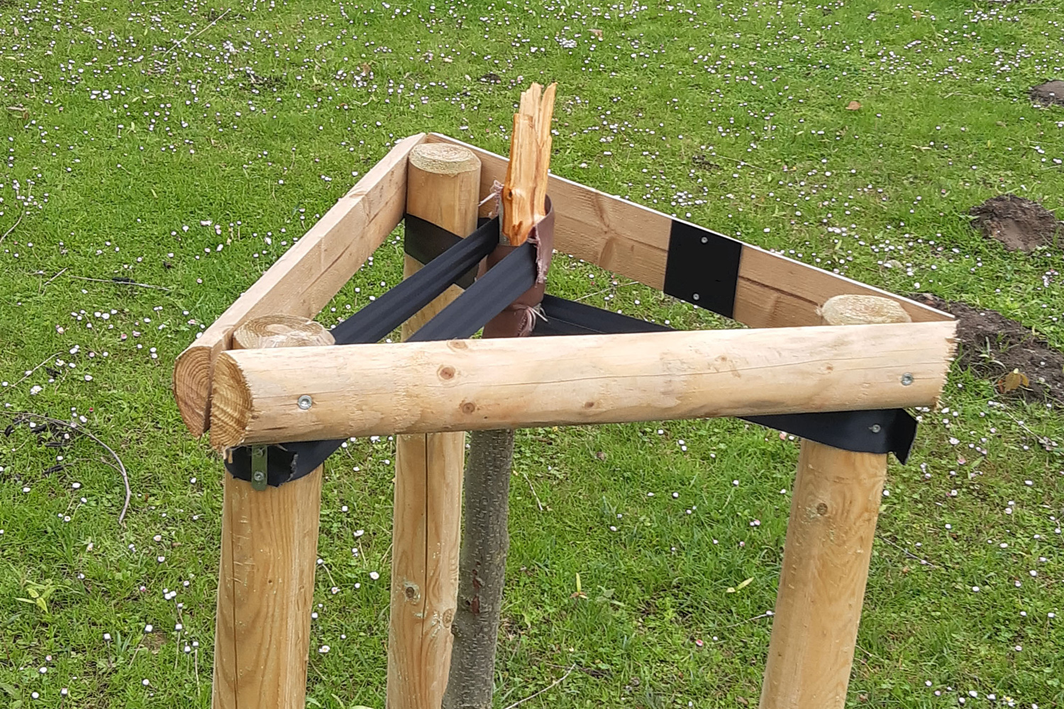 Abgebrochener Erinnerungsbaum im Höttingspark