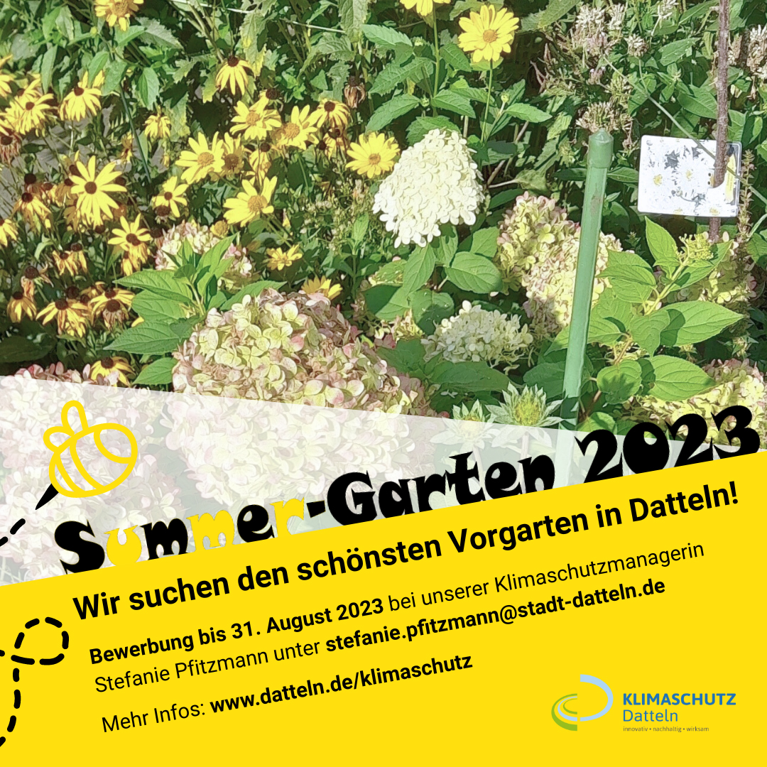 Hinweis auf den Summer-Garten-Wettbewerb 2023 - im Hintergrund eine Blumenwiese
