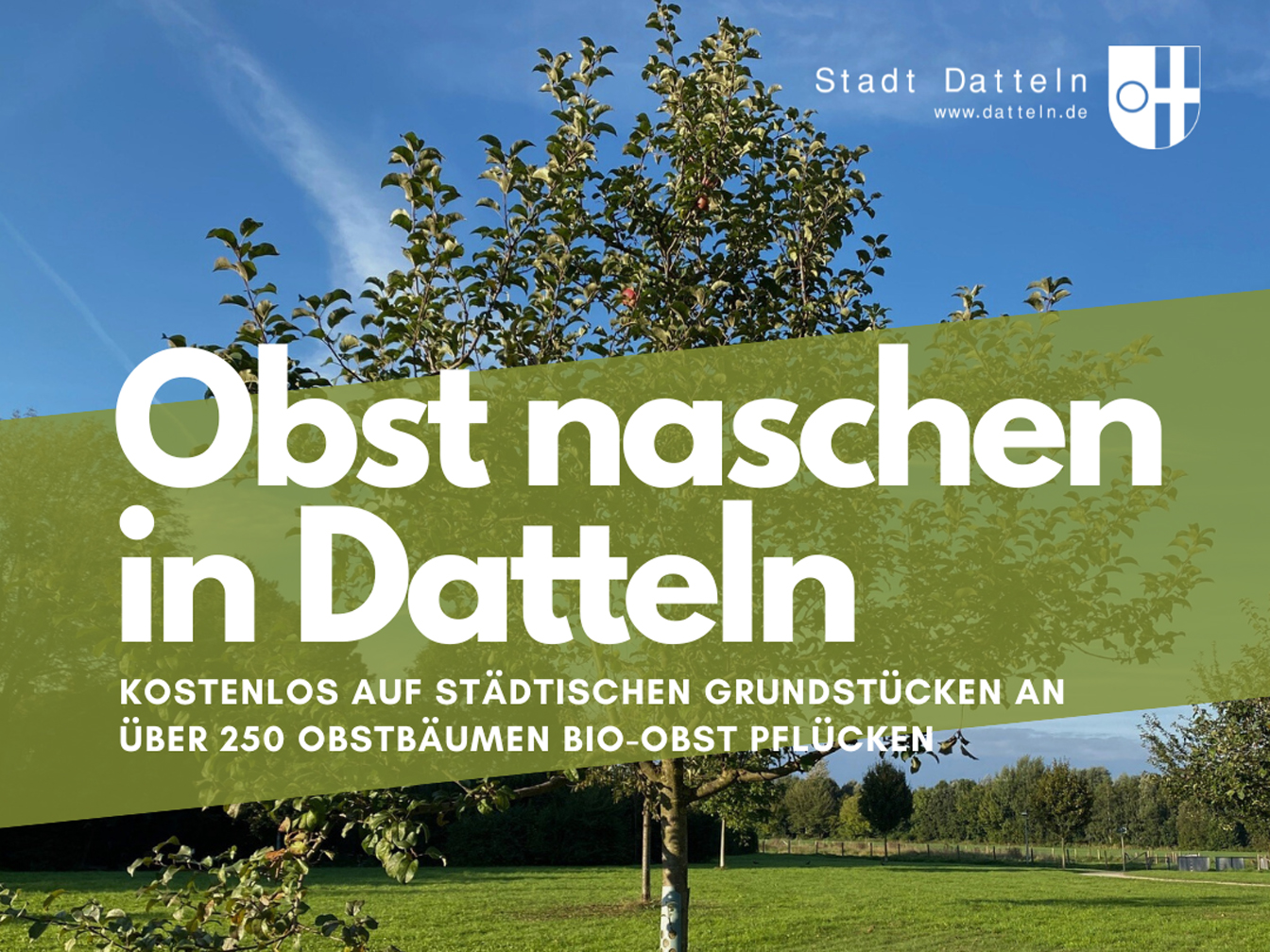 Obstbäume im Möllerskamp, außerdem der Text "Obst naschen in Datteln" und der Hinweis "kostenlos auf städtischen Grundstücken an über 250 Bäumen Bio-Obst pflücken"