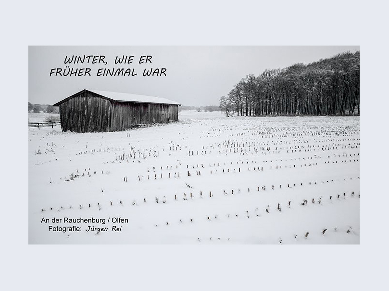 Winterlandschaft an der Rauschenburg in Olfen, schneebedecktes Feld, ein Haus und Wald im Hintergrund 