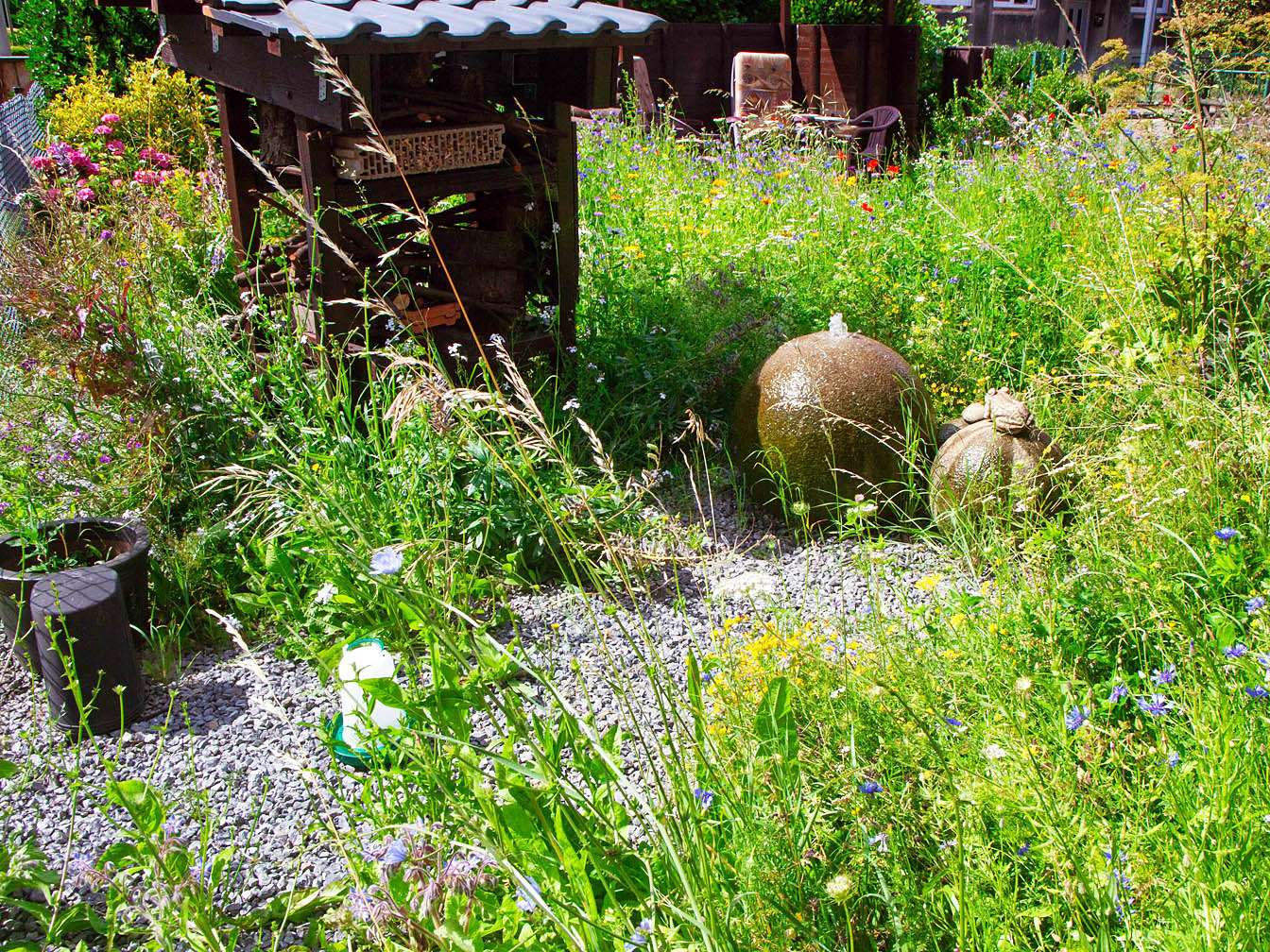 Der klimafreundliche Garten von Günther Jordan inklusive Bienenhotel