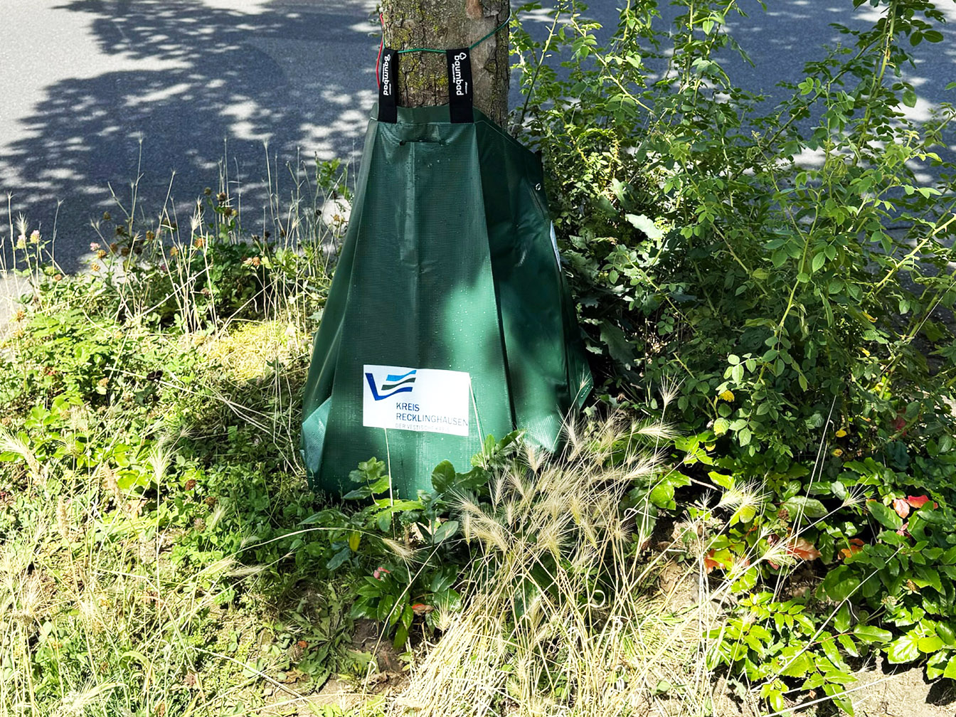 Bewässerungsbeutel an einem Straßenbaum