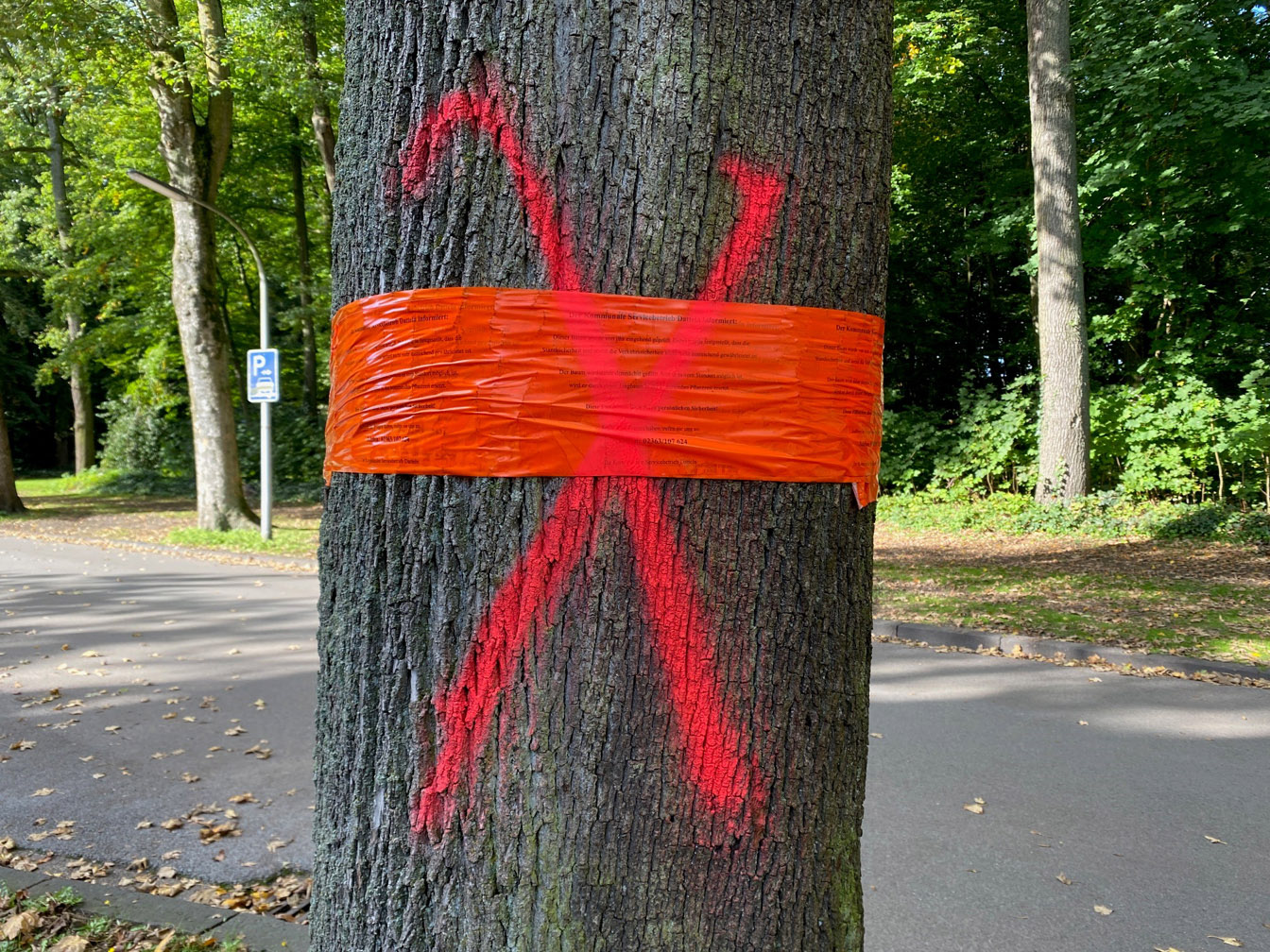 Baum mit orangefarbener Banderole