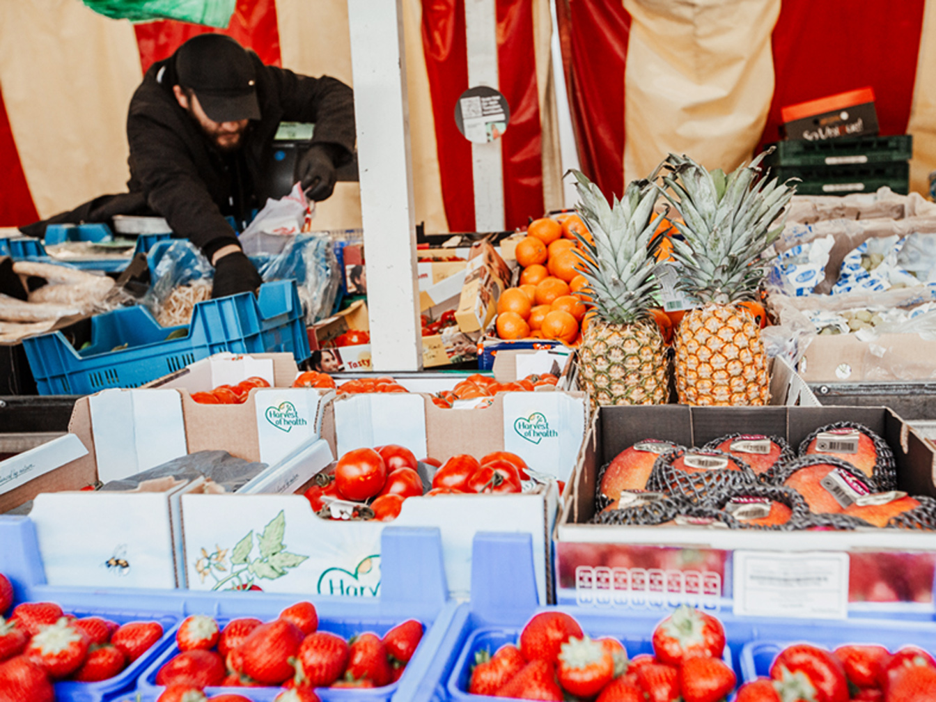 Ein Mann auf dem Wochenmarkt packt die Obst-Wünsche des Kunden ein