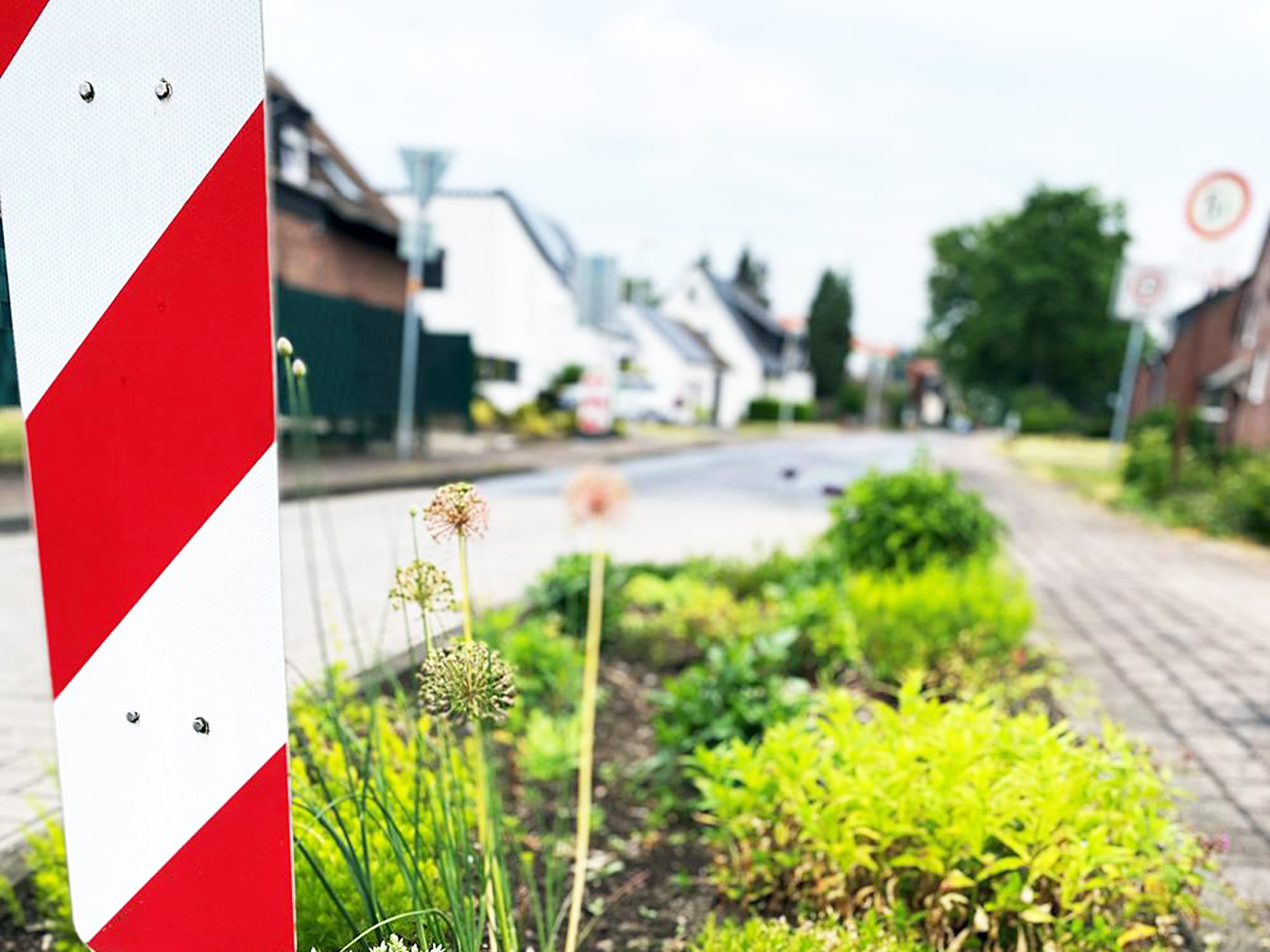 Straßenbeet im Hötting