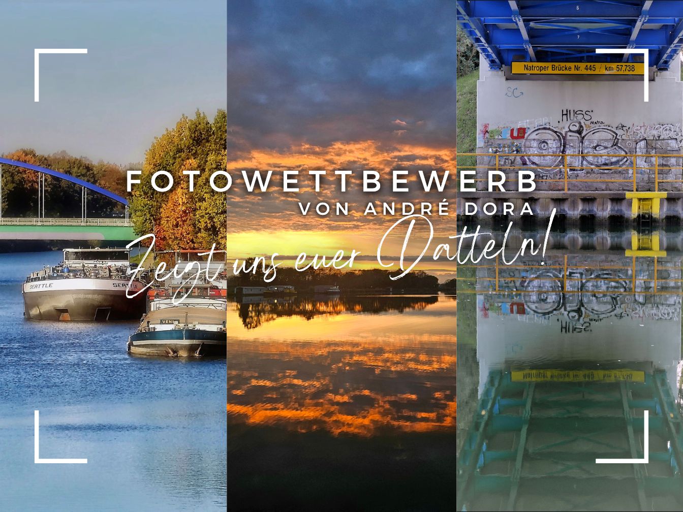 Ausschnitte aus der drei Gewinnerbilder von 2025 für den Fotowettbewerb 2026