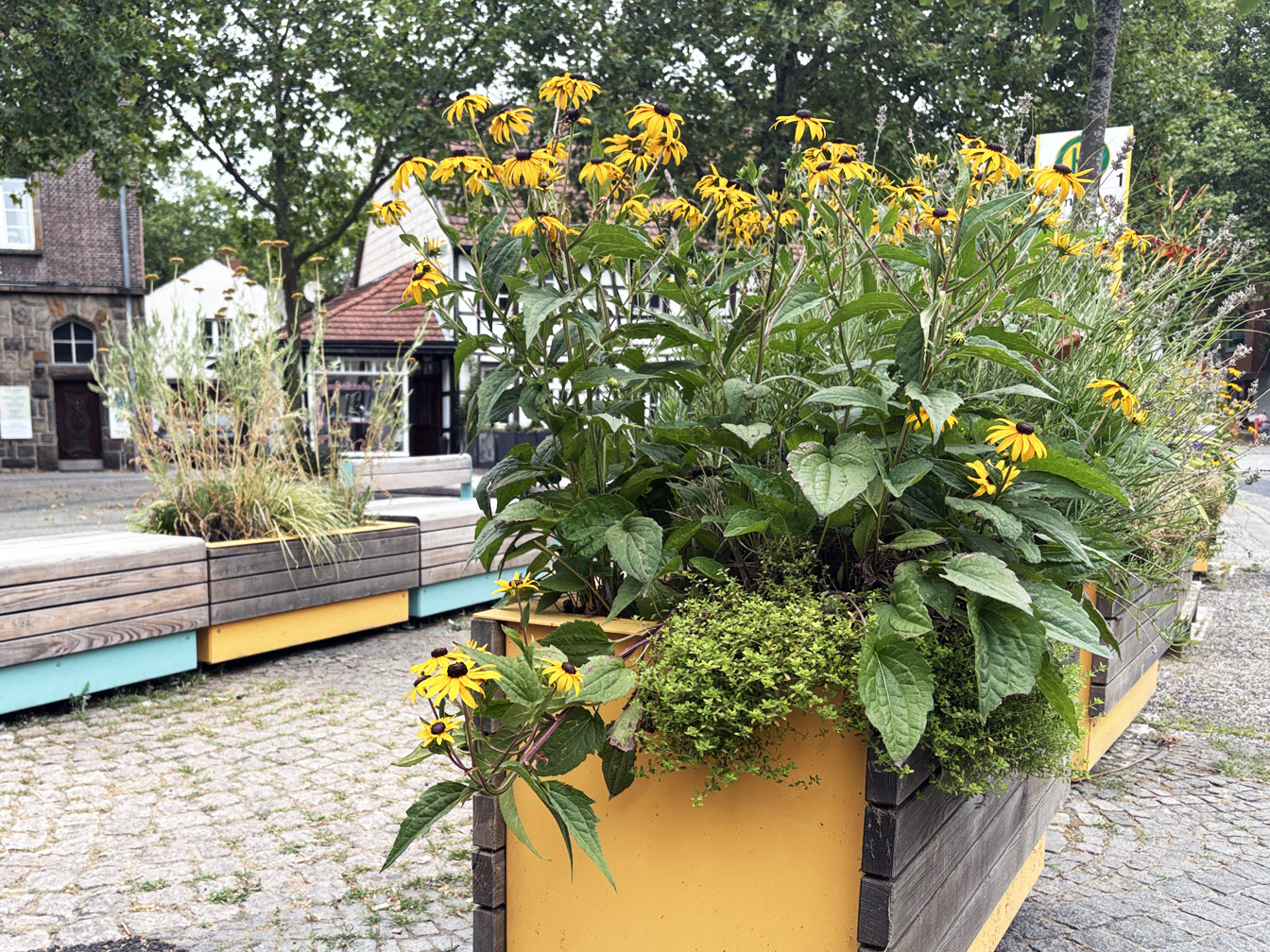 Blumenkübel und Sitzgelegenheiten der Stadt-Terrasse auf dem Tigg