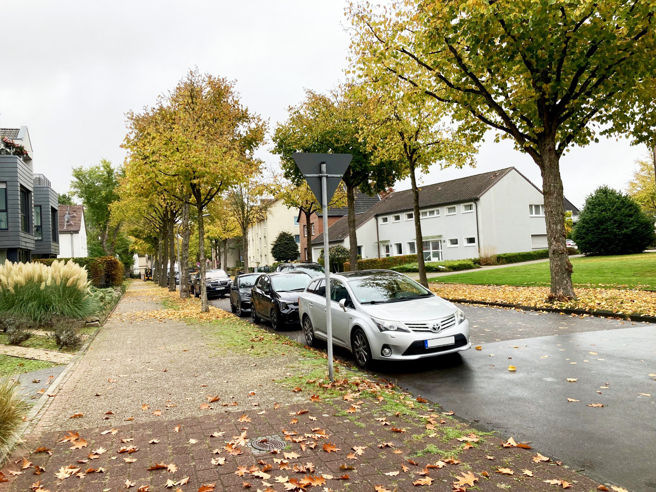 Die Hachhausener Straße im Herbst