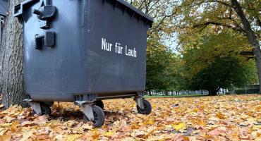 Laubcontainer am Rathaus