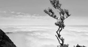 3. Platz der Bildbesprechungen Februar 2026 