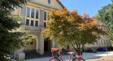 Ein mit Wolle umspanntes Fahrrad vor dem Rathaus