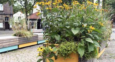 Blumenkübel und Sitzgelegenheiten der Stadt-Terrasse auf dem Tigg