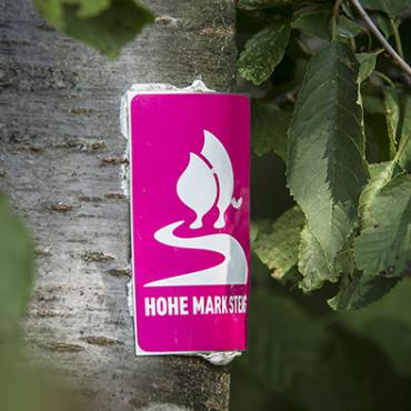 Das Bild zeigt das Wanderzeichen des Hohe Mark Steigs.