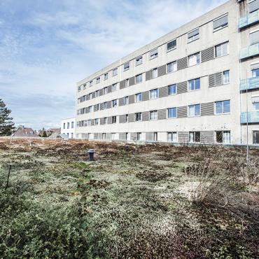 Das Bild zeigt ein Krankenhaus.