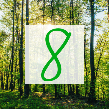 Geschwungene grüne Acht, im Hintergrund ein Kanal.