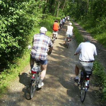 Mehrere Radfahrer*innen sind von hinten zu sehen, die in der Haard Rad fahren.