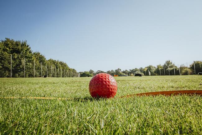 Das Bild zeigt einen roten Golfball auf grünen Rasen.