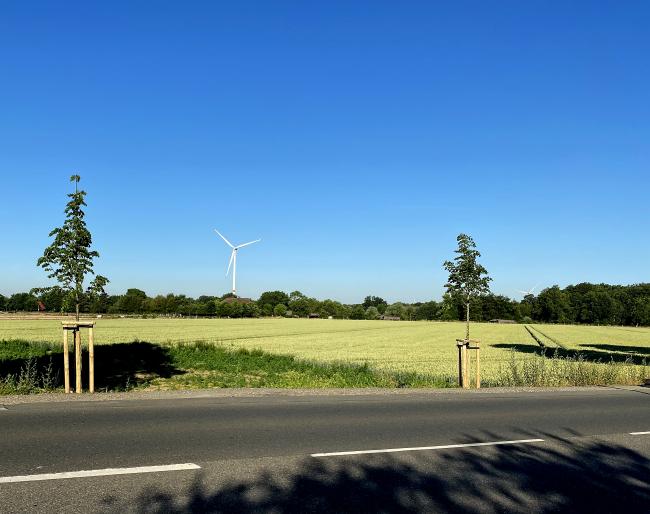 Windräder bei Horneburg