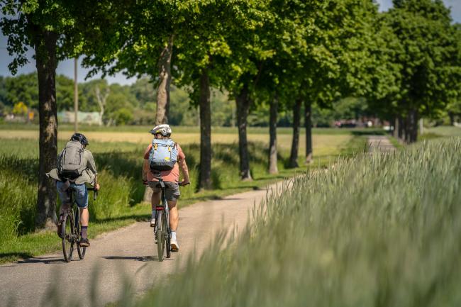 Das BIld zeigt zwei Radfahrer auf der Hohen Mark RadRoute.