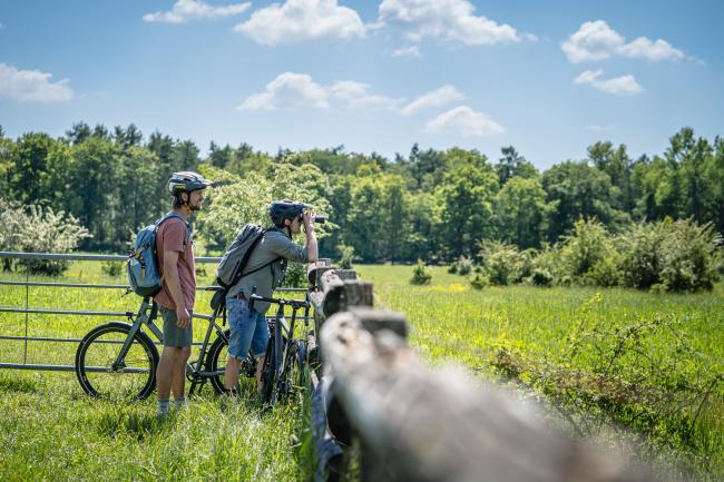 Das Bild zeigt zwei Radfahrer bei der Tierbeobachtung auf der Hohen Mark Radroute.