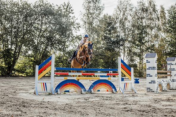 Das Bild zeigt ein springendes Pferd mit Reiterin.