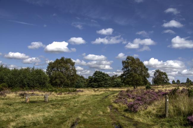 Canncock Chase - Naherholungsgebiet