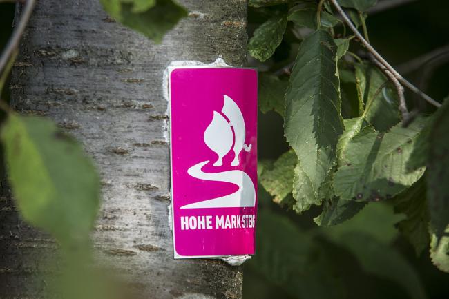 Das Bild zeigt eine Aufkleber an einem Baum, der auf den Hohe-Mark-Steig hinweist.