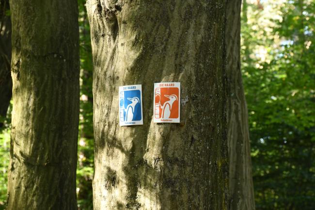 Das Bild zeigt die Schilder Rundwandwege.