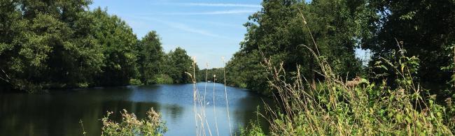 Das Bild zeigt die Alte Fahrt 