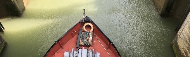 Das Bild zeigt das Gewinnerfoto von 2021