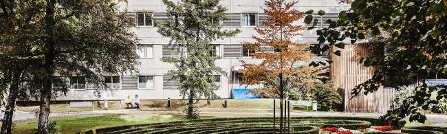 Das Bild zeigt den Garten hinter dem St.-Vincenz-Krankenhaus