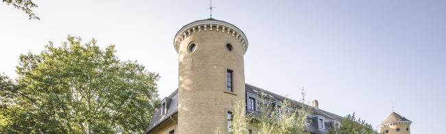 Das Bild zeigt das Schloss Horneburg