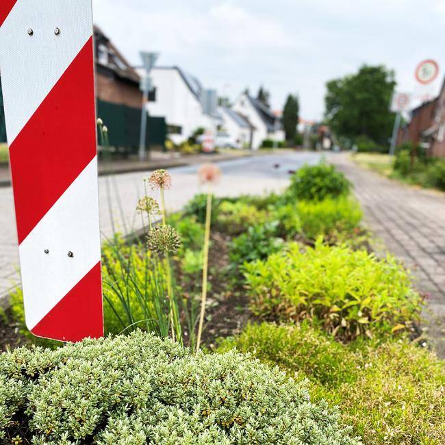 Straßenbeet an der Höttingstraße Ecke Kreuzstraße