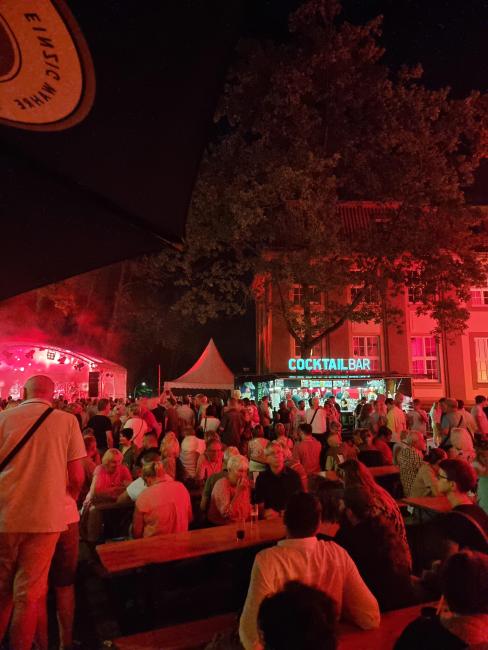 Besucher*innen und Besucher des Rathausfestes