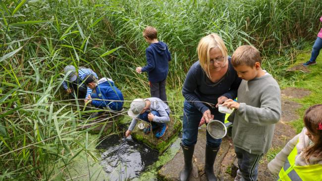 Blaues Klassenzimmer 5