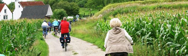 Mehrere Radfahrer*innen sind von hinten zu sehen; im Hintergrund ist ein Haus, an den Seiten Felder. 