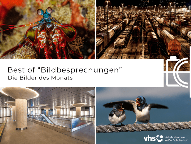 Mehrere Bilder sind zu einer Collage zusammengefügt. 