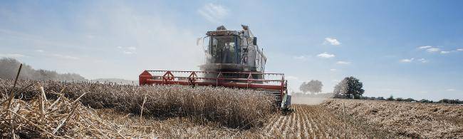 Mähdrescher auf einem Feld