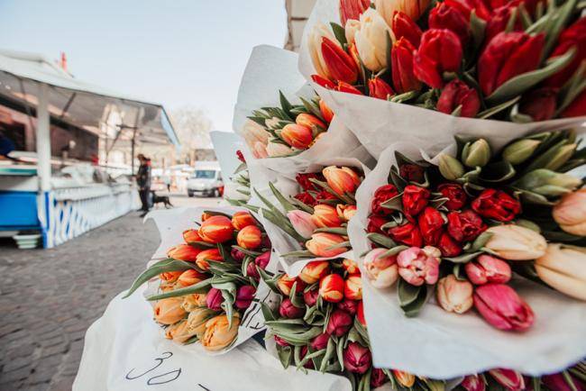 Blumenhandel_Zapfer_Marktstand_Tulpen_Wochenmarkt