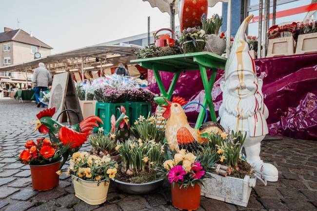 Blumenhandel_Zapfer_Marktstand_Wochenmarkt