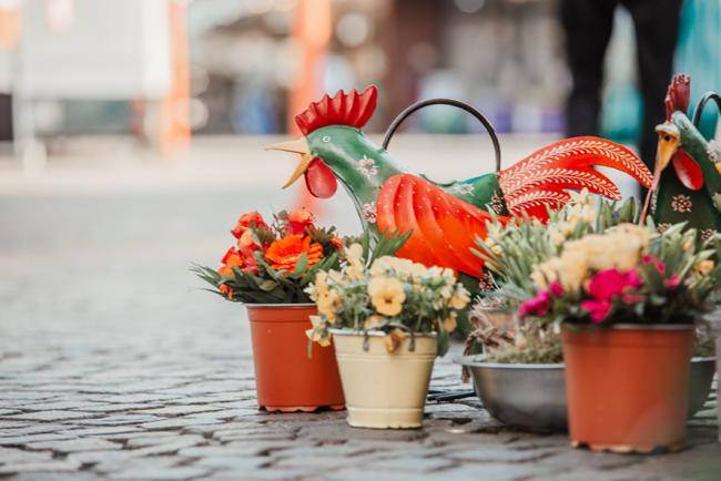 Blumenhandel_Zapfer_Marktstand_Hahn_Wochenmarkt