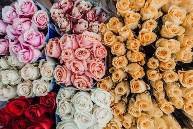 Blumenhandel_Zapfer_Marktstand_Blumen_Wochenmarkt