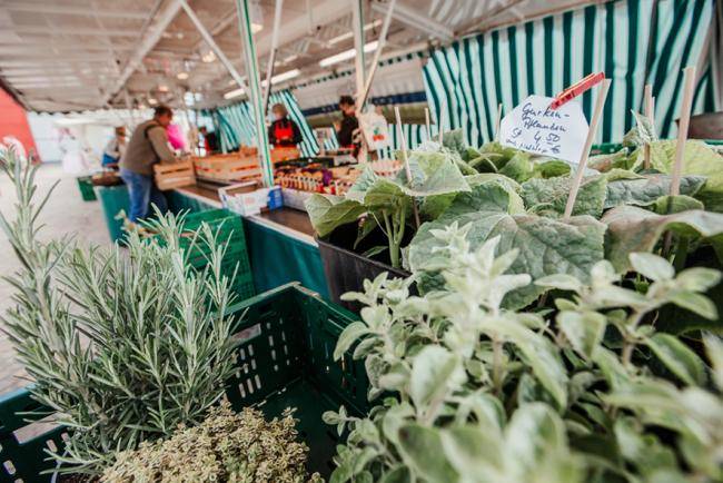 Hof_Engelkamp_Marktstand_Kräuter_Wochenmarkt