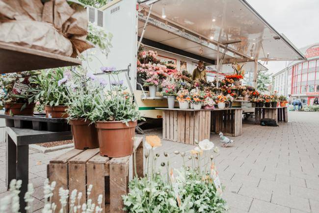Blumentenne_Marktstand_Totale_Wochenmarkt