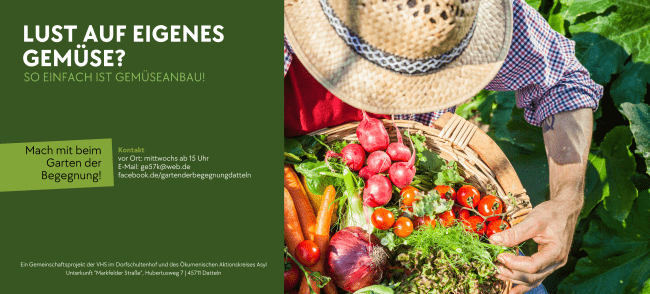 Eigenes Gemüse anbauen im Garten der Begegnung.