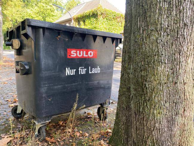 Schwarzer Laubcontainer an einem Baum in der Nähe des Rathauses