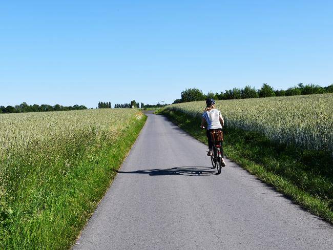 Fahrradfahrerin in den Feldern