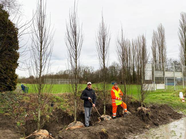 Lukas Glockzin (links) besichtigt die Neupflanzungen von 50 Säulenhainbuchen am Sportplatz Horneburg - neben ihm steht Andreas Burrasch von der Firma Küpers.