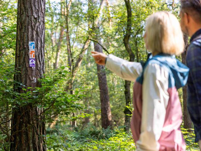 Ein Pärchen im Wald schaut sich die Landstreifer-Wegweiser an.
